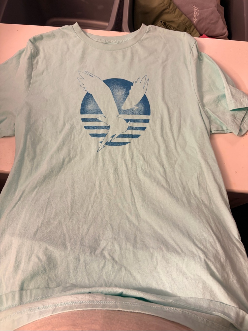 American Eagle Outfitters Light Mint Tee with Blue Seagull Graphic